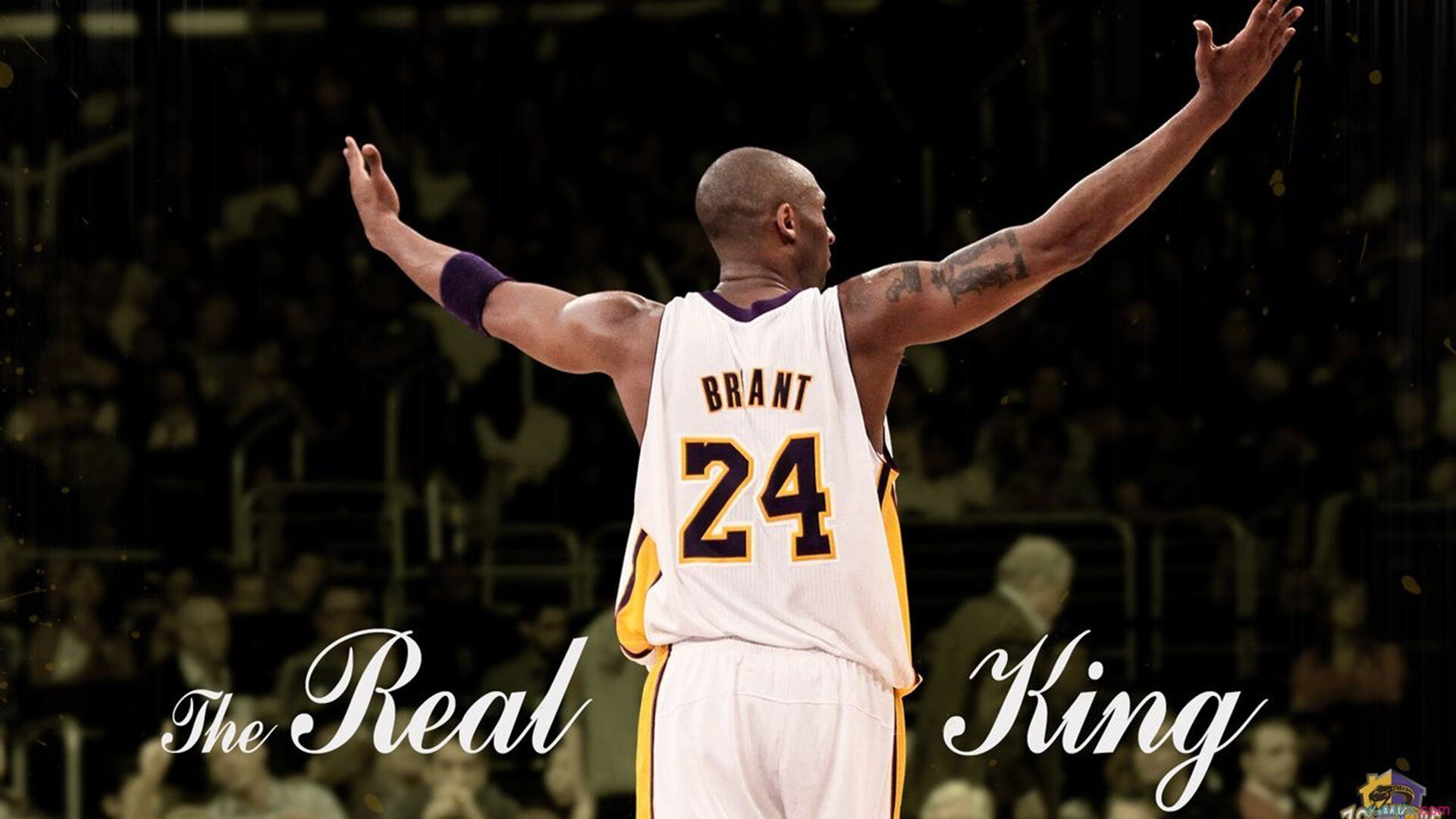 库里支持小球员参赛鼓励敢打敢拼，库里鼓励队友