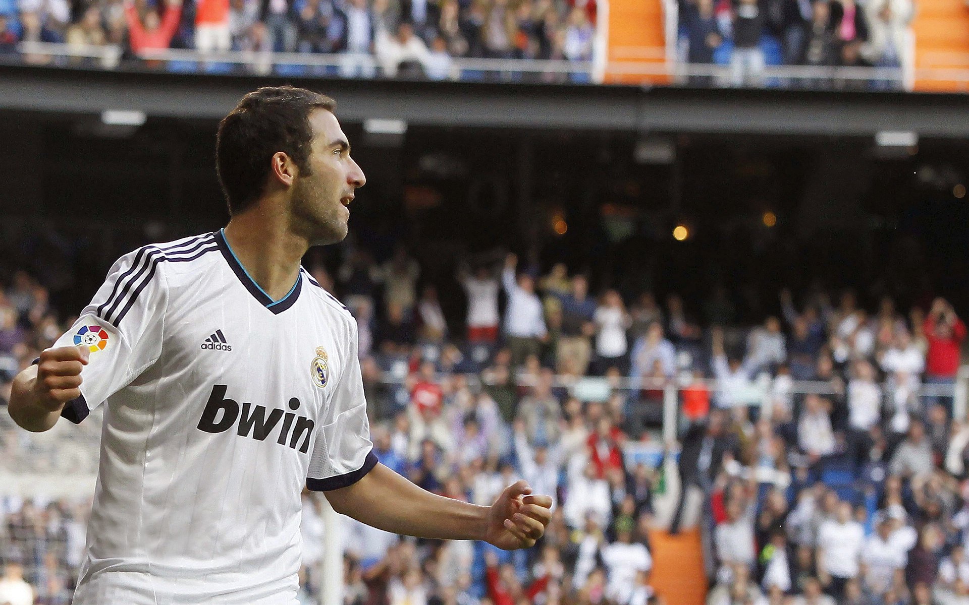 张伟丽赛前称将全力以赴拼到底，张伟丽比赛视频中文解说