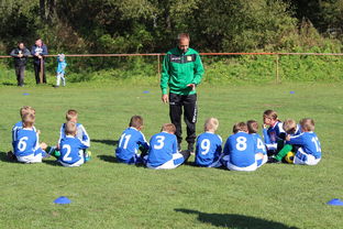 九游娱乐电竞站-意甲攻守大比拼：速度与战术的融合！，意甲战术强在哪里