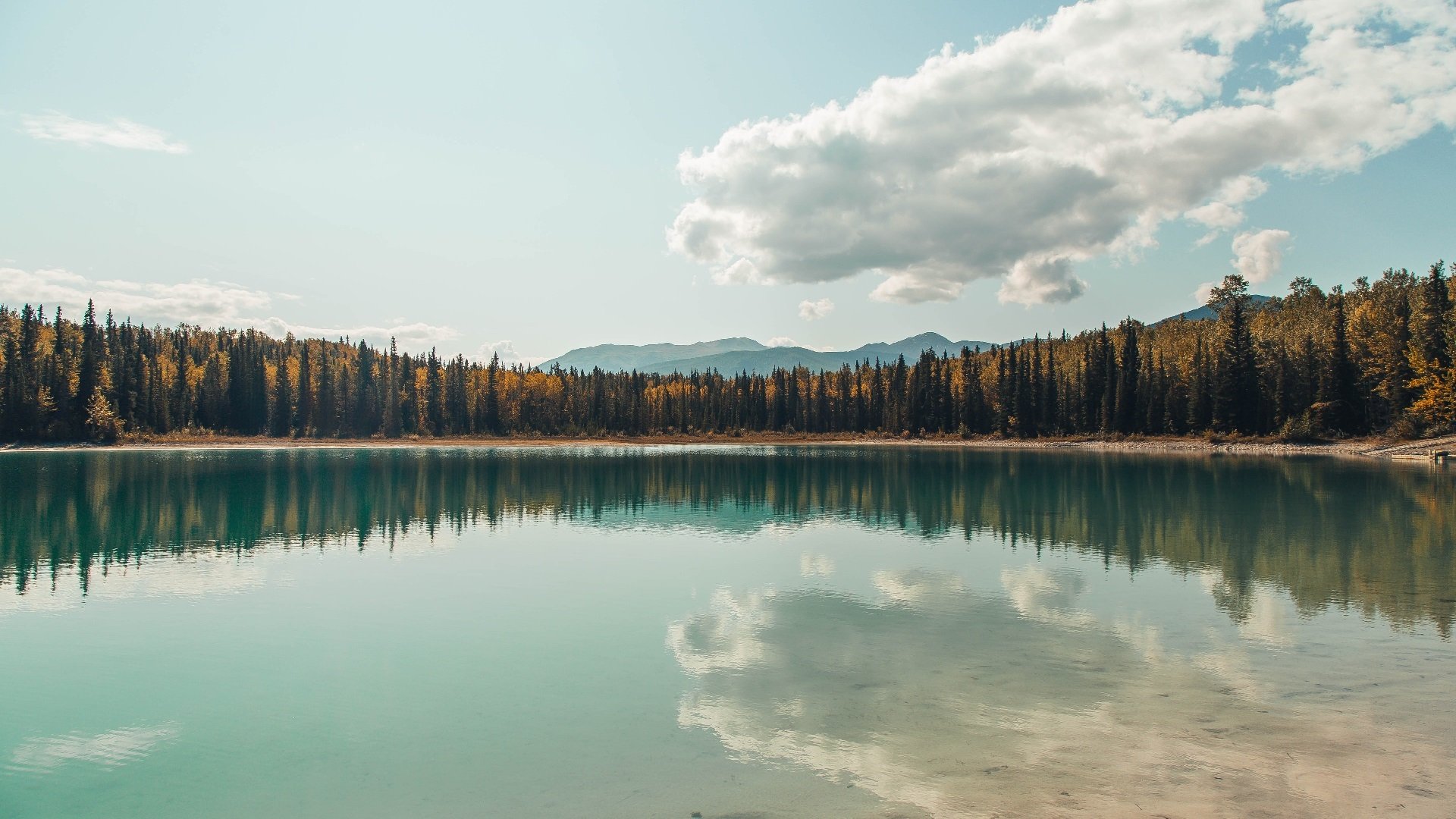 九游电竞官网-_未来运动鞋展：科技雕琢运动新未来_，未来的运动鞋400字作文