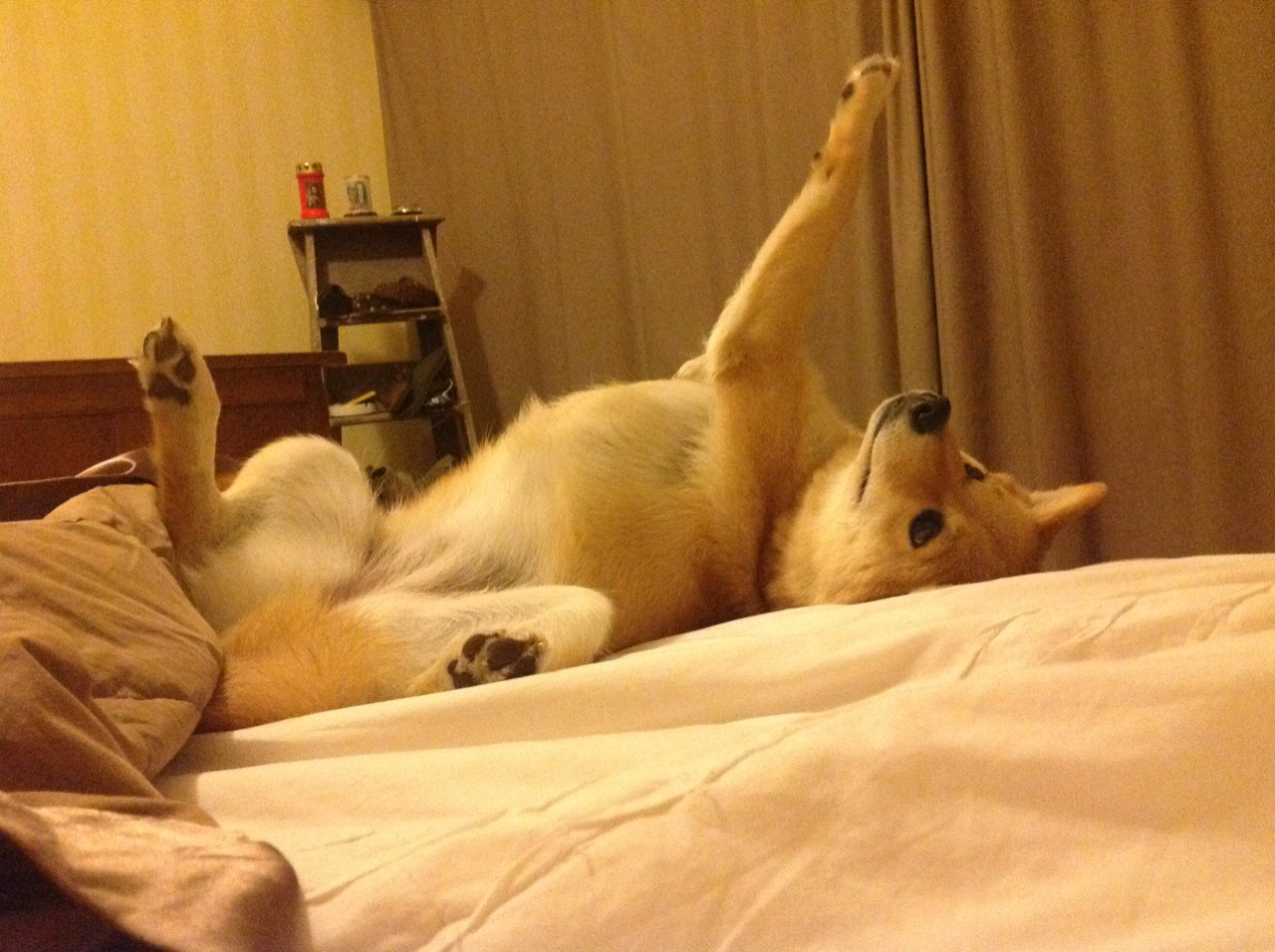 九游电竞资讯-“钢铁男孩：少年足球运动员崭露头角”，刚铁男孩