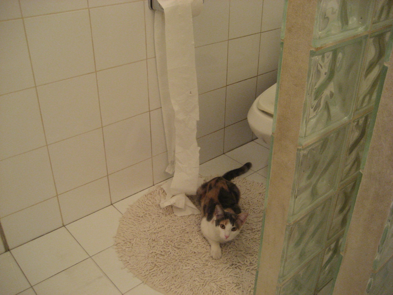 【新赛制探索】未来棒球或成为“秒秒秒”的运动，棒球新玩法