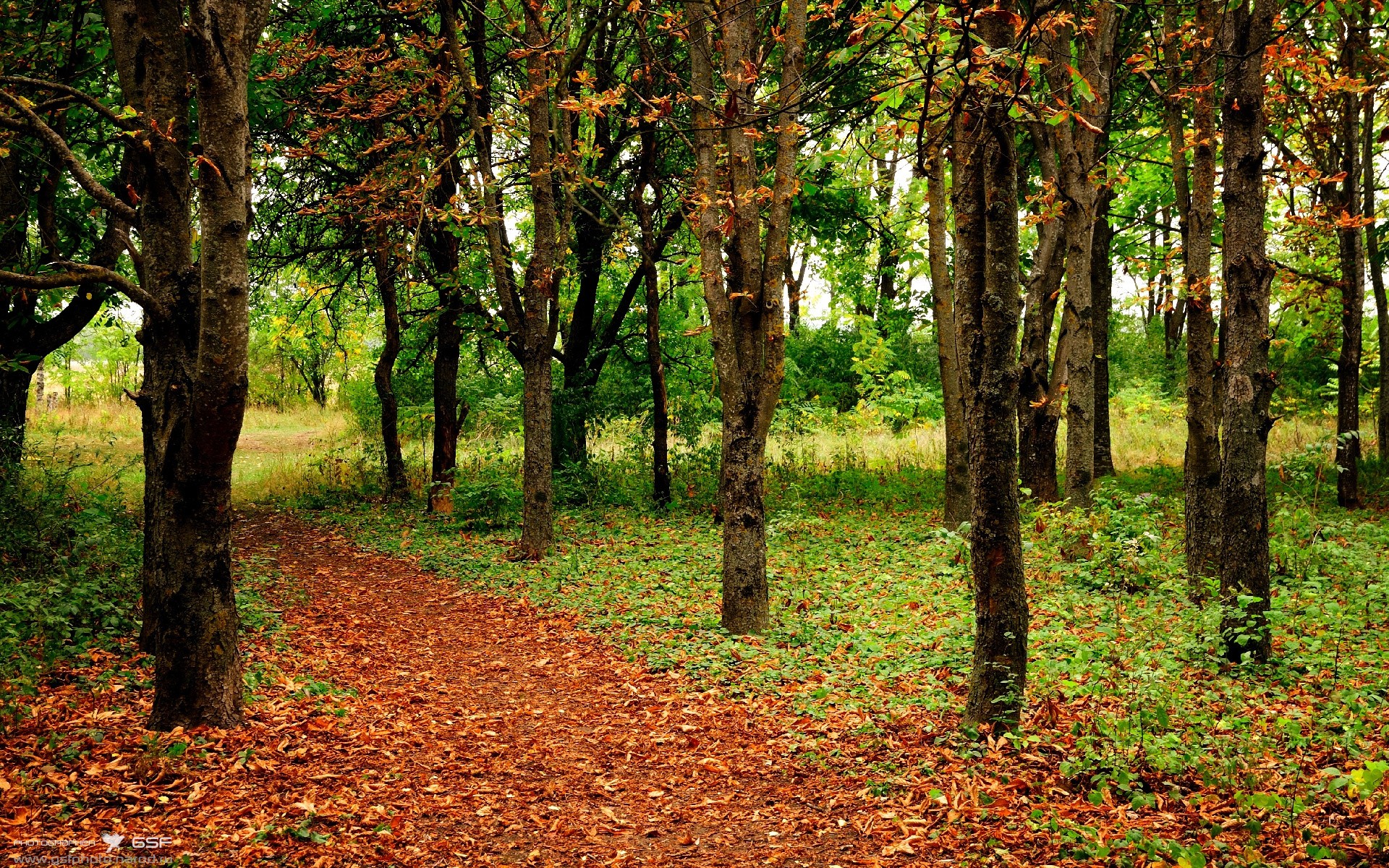 九游电竞站-全国青少年“篮球+舞蹈”跨界演艺巡演在南京全面展开，展现青春多元魅力